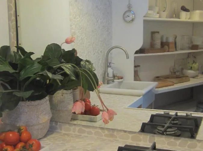 La Blanche 公寓 海尔伦